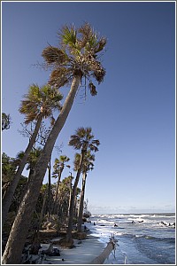 Image Result For Hunting Island State Park Rangers Image Result For Hunting Island State Park Rangers