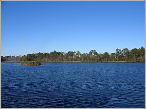 Lake Norton at Little Pee Dee
