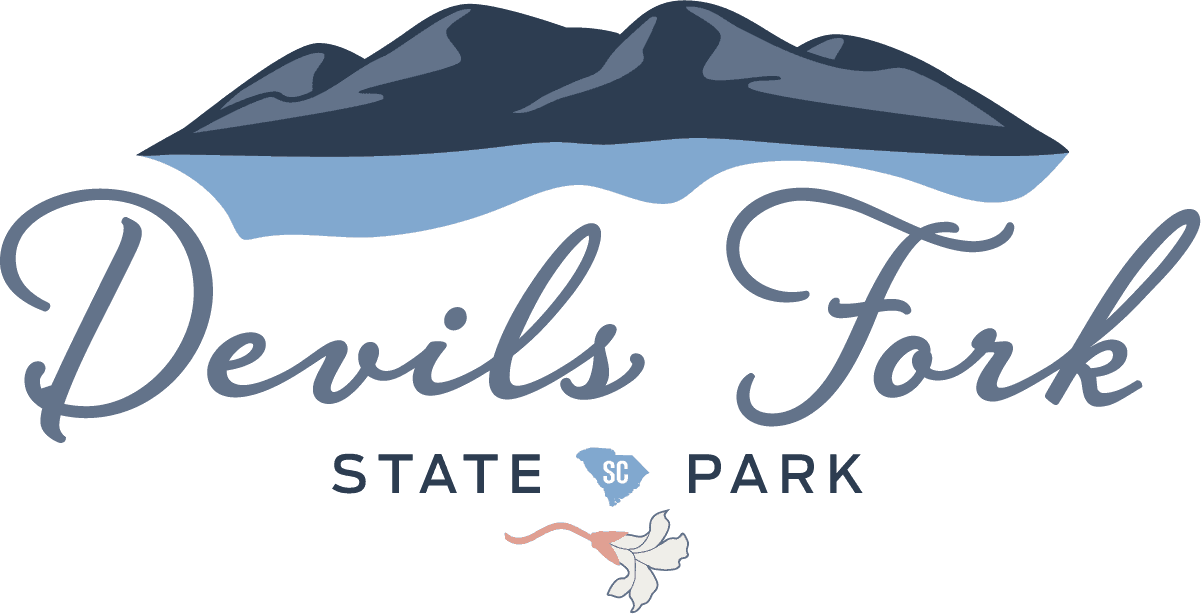 Devils Fork Lodging South Carolina Parks Official Site